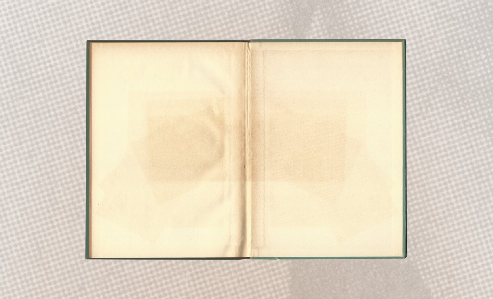The Form of the Book - Book spread with shadows and empty pages